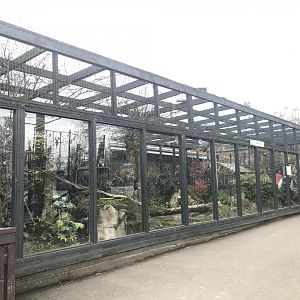 Fishing cat enclosure