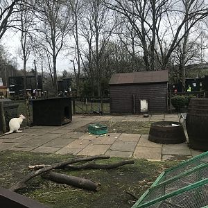 Wallaby holding area