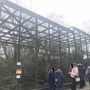 Scottish wildcat enclosure