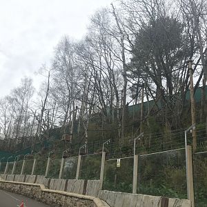 Red panda enclosure (2)