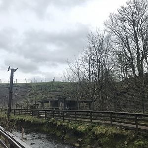 Barbary sheep enclosure