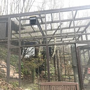 Great grey owl enclosure