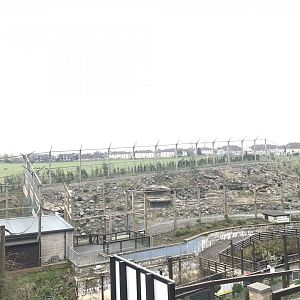 Snow leopard enclosure