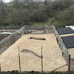 Cheetah holding area