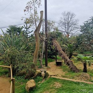 Madagascar Walktrough exhibit
