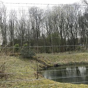 Brown bear enclosure