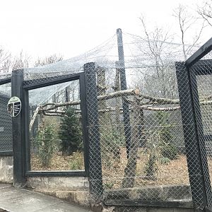 Clouded leopard enclosure