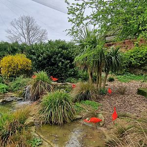 Walled Garden Aviary