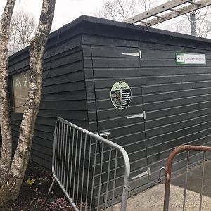 Clouded leopard indoor enclosure