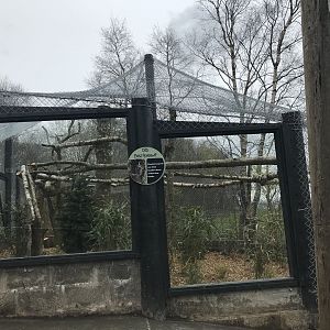 Clouded leopard enclosure (3)