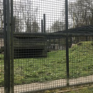 Brown bear holding area