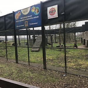 Brown bear holding area (2)