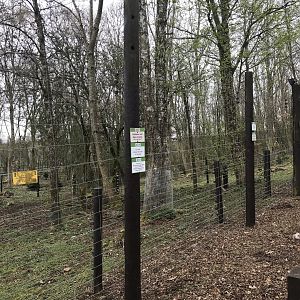 Brown bear enclosure (3)