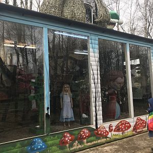 Rabbit enclosure (2)