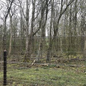 Brown bear enclosure(3)