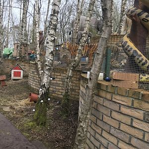 Guniea pig/rabbit enclosures