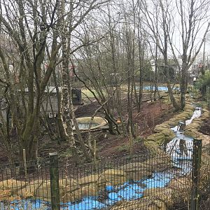 Brazilian tapir and agouti enclosure