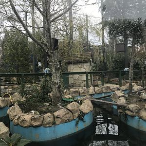 Birds of the world aviary