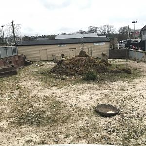 Meerkat, blue crane and spurred tortoise enclosure