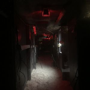 Egyptian fruit bat enclosure