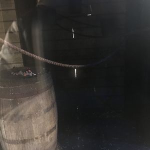 Black rat enclosure (2)