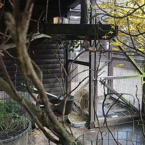 Jay and rabbit enclosure