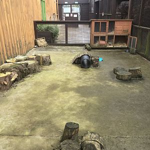 Rabbit enclosure (4)