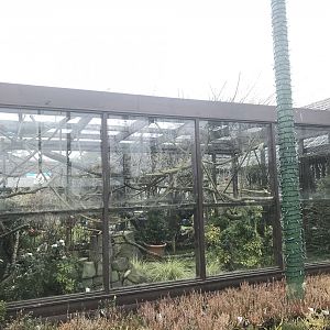 Squirrel monkey enclosure