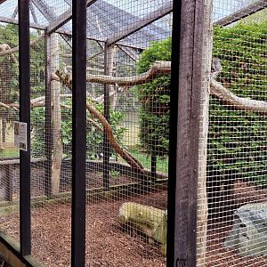 Jaguarundi / White-bearded masked palm civet exhibits