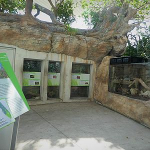 The Vista - Pine Rocklands - Terrariums