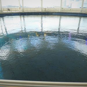 The Vista - Gulf Stream Habitat from Above