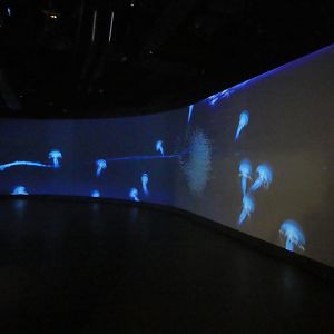 The Deep - Entrance Area