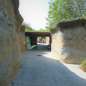 Florida: Mission Everglades - Sawgrass Marsh - Underwater Viewing for Otters and Crocodile