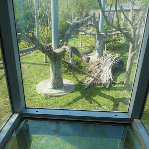 Florida: Mission Everglades - Hardwood Hammock - Treehouse Exhibit