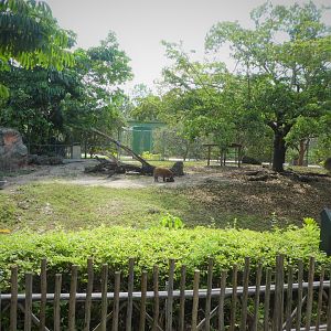Amphitheater - Warthog Crossing - Red River Hog Exhibit