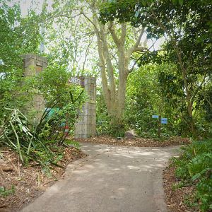 Amazon and Beyond - General View