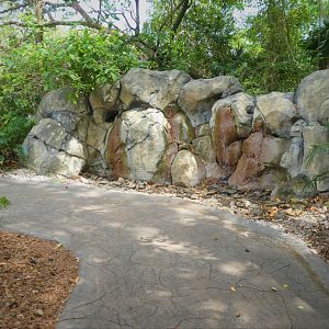 Amazon and Beyond - Water Feature