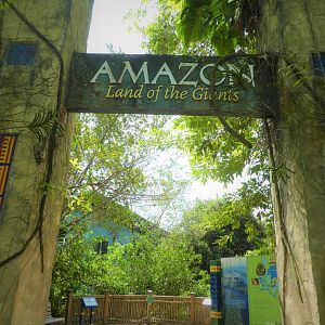 Media 'Amazon and Beyond - Amazon: Land of the Giants - Entrance' in category 'Zoo Miami'