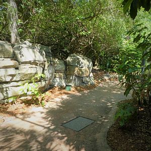 Amazon and Beyond - Amazon: Land of the Giants - General View