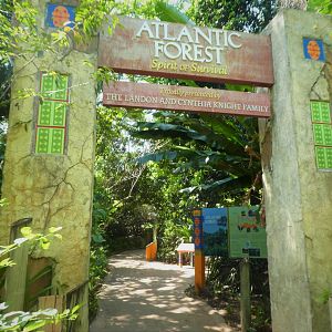 Amazon and Beyond - Atlantic Forest: Spirit of Survival - Entrance