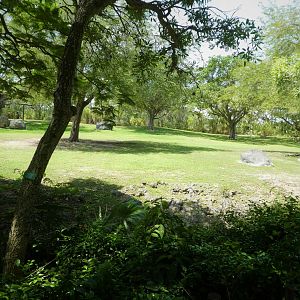 Africa - Addra Gazelle and Greater Kudu Exhibit