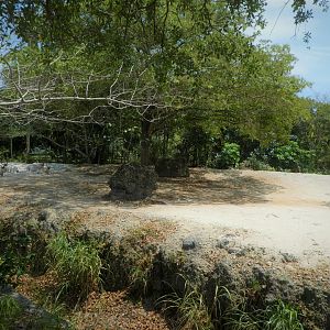 Africa - Addax Exhibit