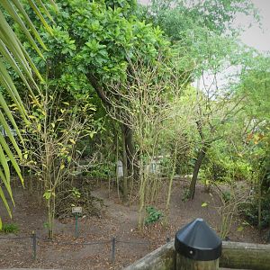 Asia - Wings of Asia - General View