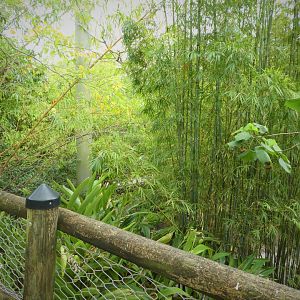 Asia - Wings of Asia - General View