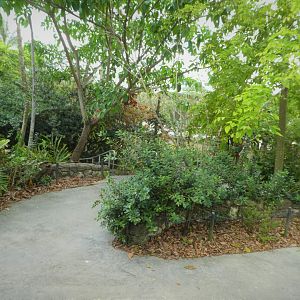 Asia - Wings of Asia - General View