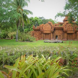 Asia - Sunda Island Tiger Exhibit
