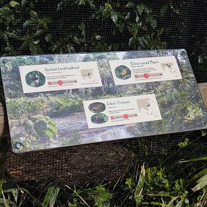 Elephant house aviary signage