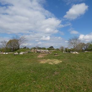 Eastern black rhino enclosure