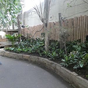 Former mouse deer enclosure