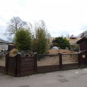 Dwarf mongoose enclosure